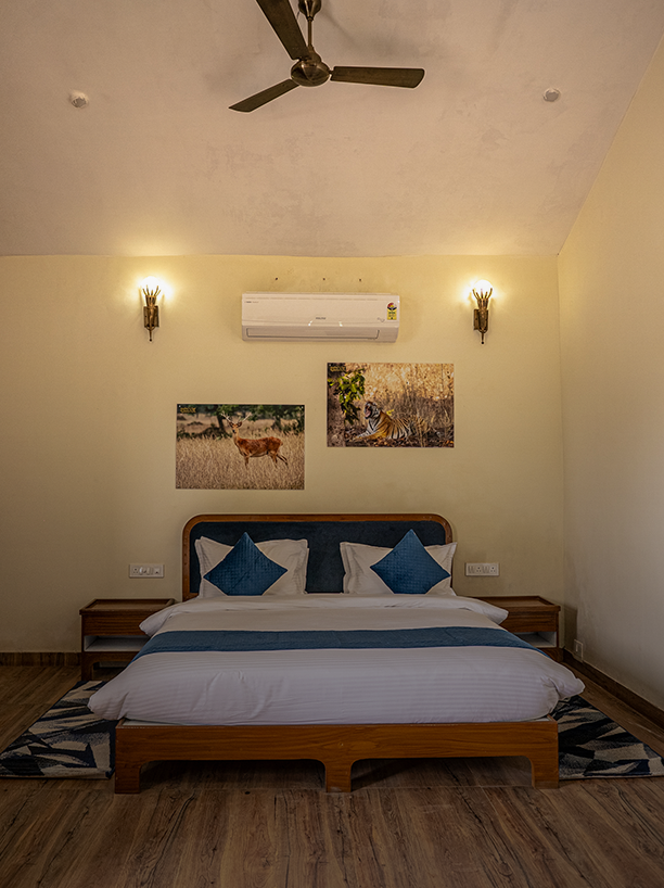 Luxury Accommodation